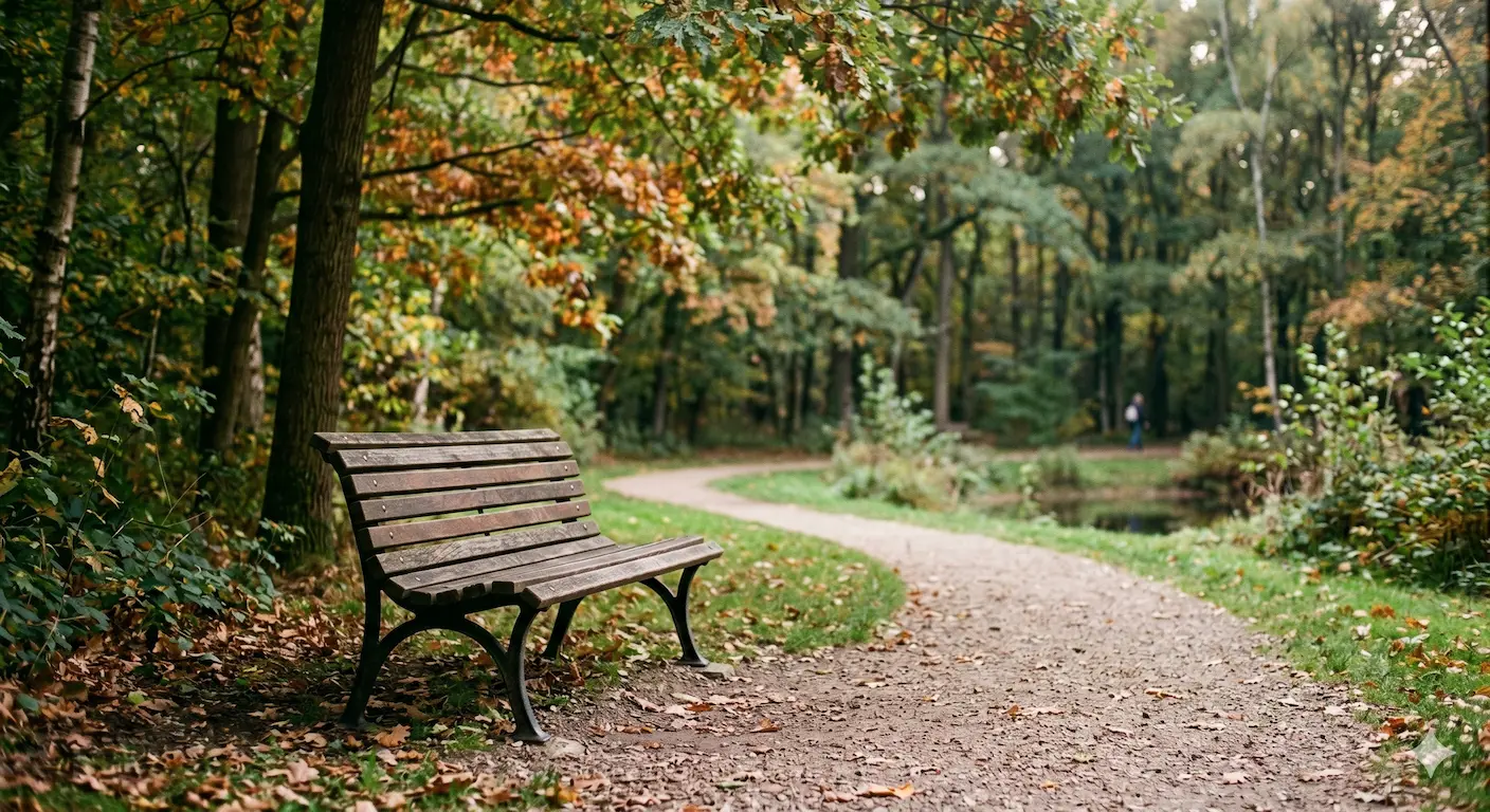 Empty park bench in soft afternoon light, representing grief, loss, and emotional processing in therapy near Bentonville Arkansas